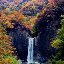 Close-up of waterfall in autumn trees