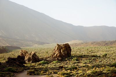 Trip to teide