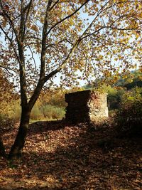 Built structure with trees in background