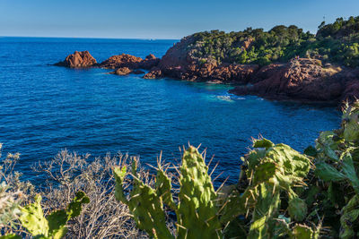 Scenic view of sea against clear blue sky