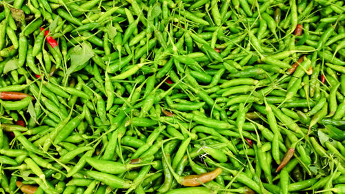 Full frame shot of green chili peppers