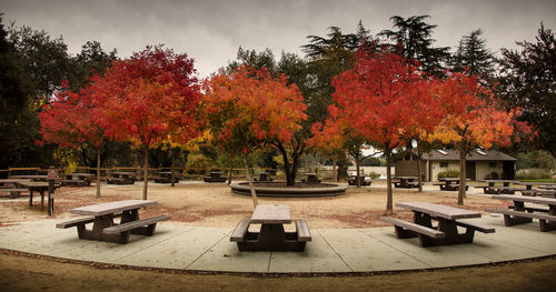 Empty benches by trees in park during autumn