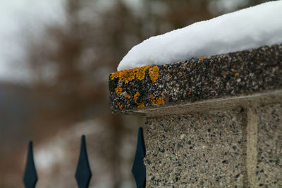 Close-up of snow