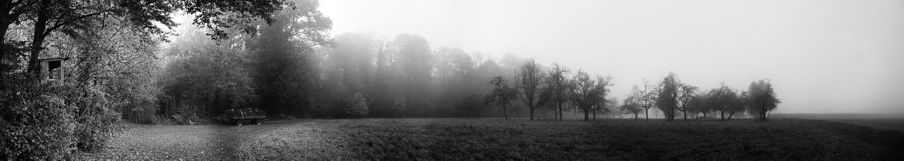 mist