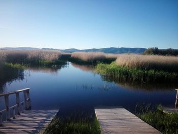 Scenic view of lake against clear blue sky