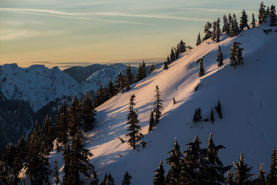 Mount seymour backcountry, vancouver in winter at sunset