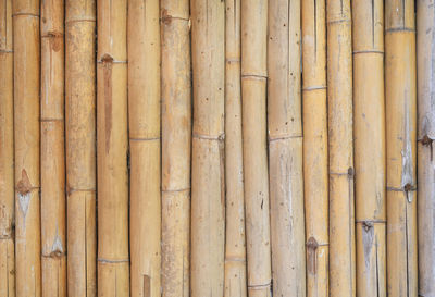Full frame shot of bamboo fence