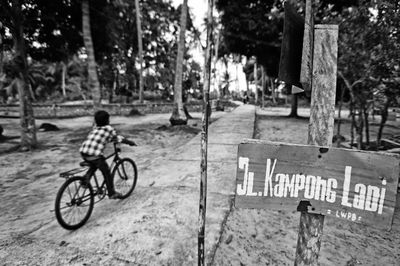 Man riding bicycle