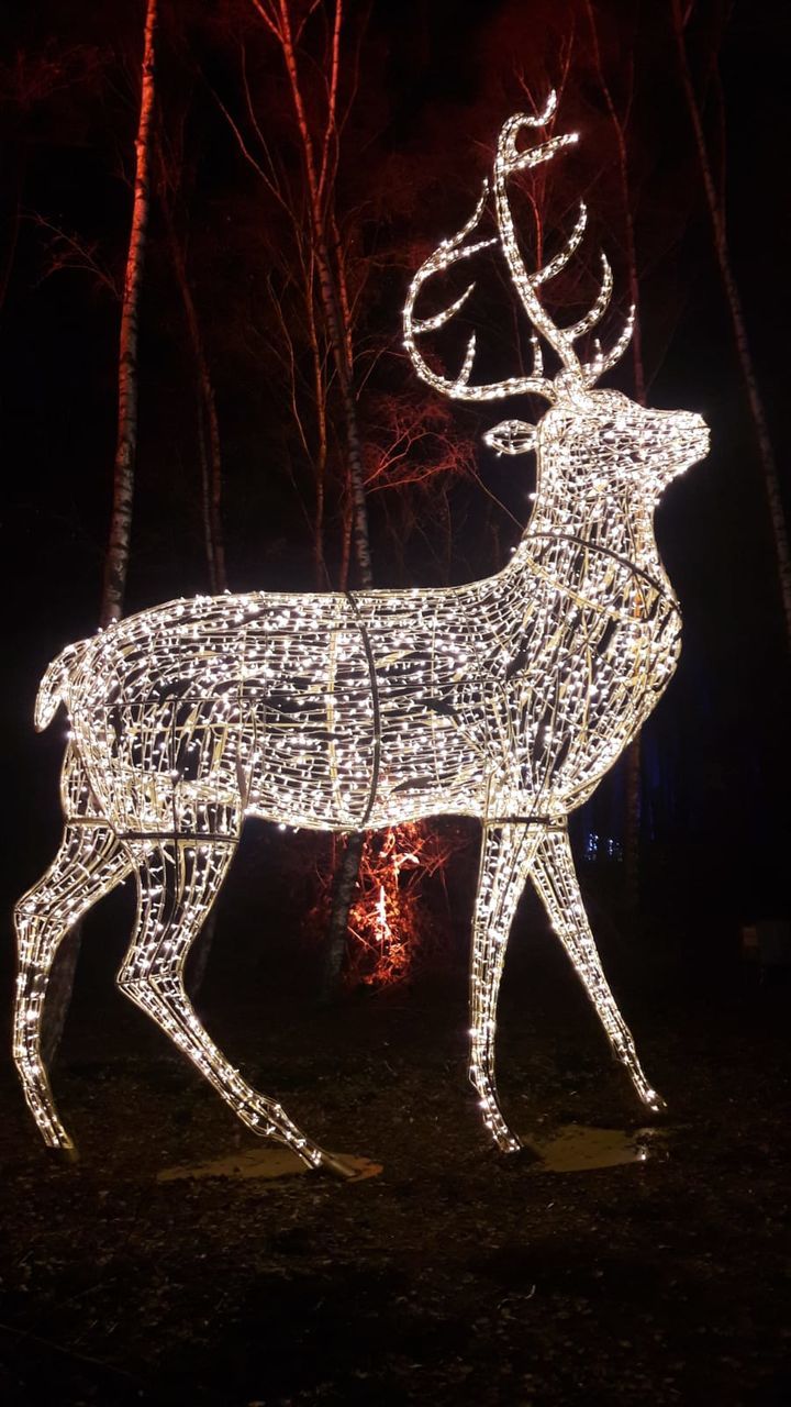 night, animal, illuminated, christmas decoration, decoration, celebration, mammal, christmas, no people, animal representation, animal themes, tree, holiday, representation, art and craft, one animal, christmas lights, indoors, creativity, animal wildlife, black background