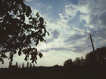 Low angle view of silhouette trees against sky