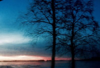 Scenic view of bare trees against sky during sunset