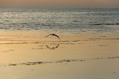 Scenic view of sea against sky at sunset