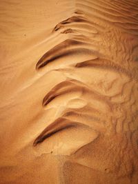 Full frame shot of sand dunes at beach