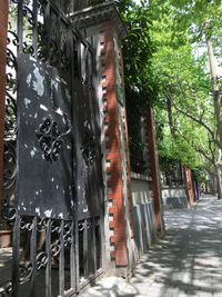 Walkway along trees