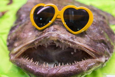 Close-up of sunglasses on glass