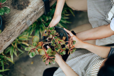 Midsection of woman holding plant