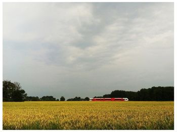 Scenic view of field against cloudy sky