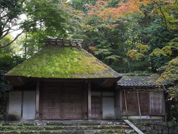 Low angle view of trees and house in forest