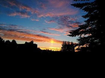 Silhouette of trees at sunset