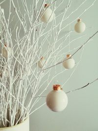 Close-up of christmas decorations against wall