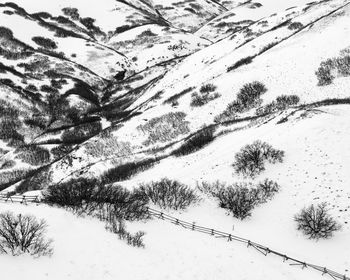 Scenic view of snow covered land and trees against sky