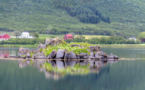 Scenic view of lake by trees