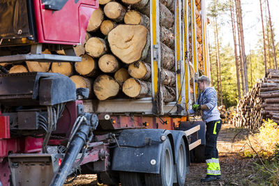 Man securing logs on trailer