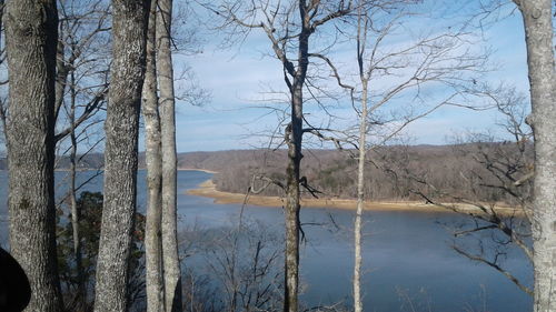 Bare trees by lake against sky