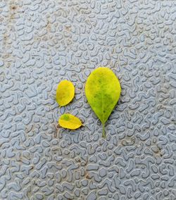 High angle view of heart shape on ball