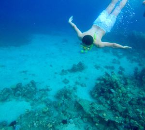 High angle view of man swimming undersea