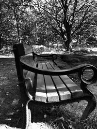 Empty bench in park