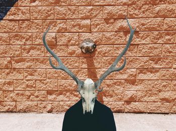 Person wearing deer skull against brick wall