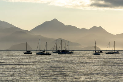 Sailboats in sea against sky