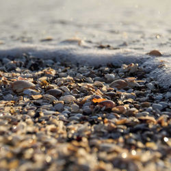 Close-up of stones on beach