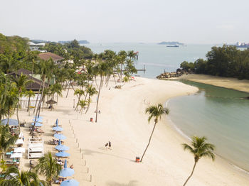 High angle view of palm trees on beach