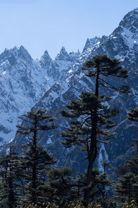 Scenic view of snowcapped mountains against clear sky