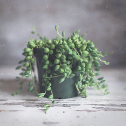 Close-up of vegetables on table