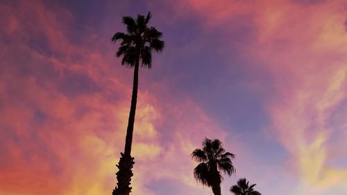 Low angle view of silhouette coconut palm tree against romantic sky