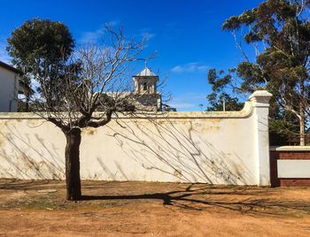 View of bare tree next to weathered wall against cloudy sky