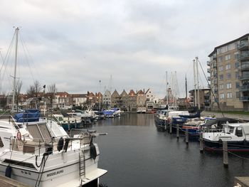 Sailboats moored at harbor