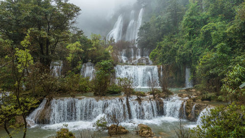 Scenic view of waterfall in forest