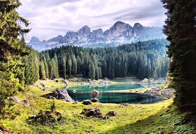 Scenic view of lake in forest against sky