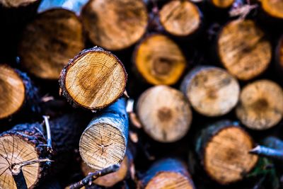 Full frame shot of logs