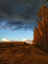 Dirt road amidst field against sky