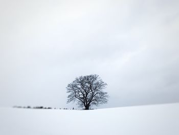 Bare tree on snow covered field against sky