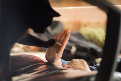 Cropped image of hand touching cat paw