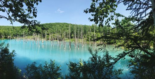 Scenic view of lake against sky
