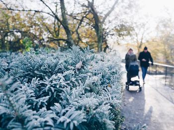 Rear view of people walking in snow during winter