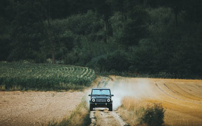 Road amidst trees on field