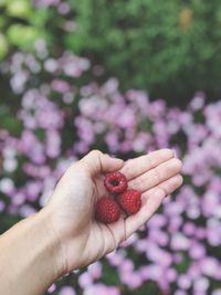 Close-up of hand holding fruit